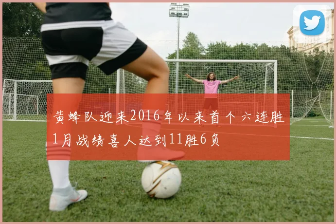黄蜂队迎来2016年以来首个六连胜1月战绩喜人达到11胜6负